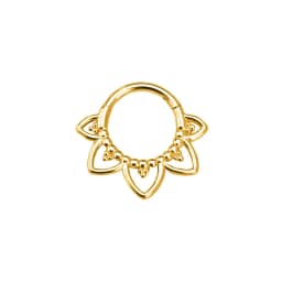 Flower Moon Heart Tush Teardrop Septum Piercing Drop Clicker Segment Nose Ring Daith Conch Hoop Earring 316L Surgical Steel 16G