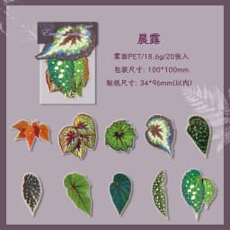 20 pcs Plants Flowers Leaf PET Sticker pack Hand Account Collage Junk Journal Planner Scrapbooking Decor Stationery Stickers
