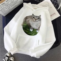 Cute Watermelon Cat Silly Cat Meme Printed Hoodies 90s Casual Sweatshirts Graphic Y2k Hooded Women's Gothic Streetwear Clothes