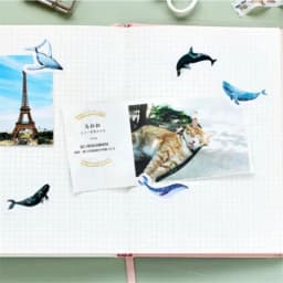 45 Pcs Whale Label Stickers Pack Decorative Stationery DIY Stick-On Tags for Scrapbooking Journaling And Album Making