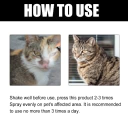 Cat Ringworm Spray - Mite Removal & Anti-Itch Pet Skin Care Topical Spray for Cats, Fungal Infection Relief, Itch Soothing