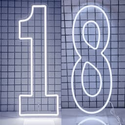 Extra-Large LED Neon Numbers Sign 76cm/100cm Stand up & Wall Mounted for Birthday Wedding Celebration Party Decor