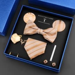 Luxury Neck Tie Set For Men Classic Brand Necktie Bowtie Hanky Cufflinks Floral Brooches Tie Clip Set Wedding Business Box Gift
