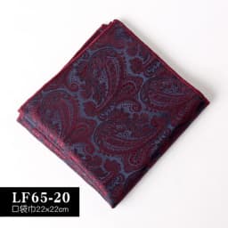 22CM Classic Men Polyester Pocket Square Dot Paisley Floral Handkerchief Business Hanky Wedding Party Chest Tie Suit Accessories