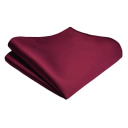 Ricnais Classic Silk Waterproof Handkerchiefs Solid 25cm*25cm Hanky Green Red Gold Pocket Square For Man Wedding Business Party