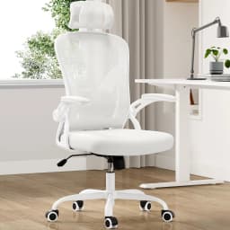 Farini Ergonomic Office Chair, Home Office Desk Chair with Adjustable Lumbar Support, Headrest & Armrest, High Back Computer Chair for Work, Study