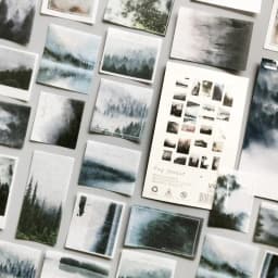 50Pcs Fog Forest Diary Decorative Stickers Pack DIY Label Stationery Deco Photograph Album Scrapbooking Flakes