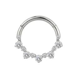 ASTM F-136 Titanium EAR Nose Ring PIERC CZ Surround Segment Ring  Hoop Face Hinged Clicker Labret Ear wheel Cartilage Piercing