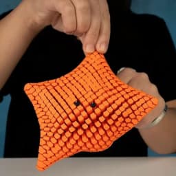Fidget Toy Flexible Desk Decor 3D Printed Articulated Starfish Stress Relief Gift for Kids and Adults Visual toys