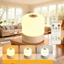 LED Touch Switch Night Lamp Remote Control Rechargeable Three Colors Dimmable Light Timing Bedside Sleeping Reading Table Lights