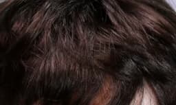 Blythes Doll Wig Fits Into the 1/6 Style Male European Style Curly Hair With Highlights Dark Brown Mixed Light Imitation Mohair