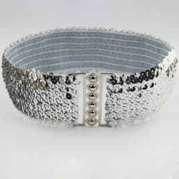 Sequin Elastic Glitter Belt Women's Corset Wide Waist Belt Metal Buckle Waistband Decorative Corset Strap Party Dress Accessorie