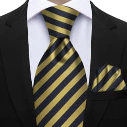 Elegant Ties For Men Gift Fashion Men Tie Set Striped Dot Luxury Necktie Handchief 2 Pcs Business Wedding Suit Accessories