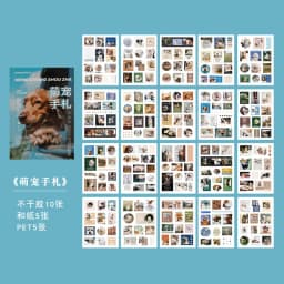 Washi Paper PET + Bond Magazine Material Stickers World Miniature Series of Creative Hand-book Decoration Stickers 10 Types