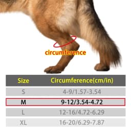 Dog Knuckling Corrector Toe Dragging Brace for Rear Back Leg Paw with Sciatic Nerve Injuries. Myelopathy and Spinal Injuries