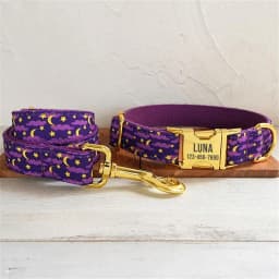 Personalized Dog Collar with Free Engraving, Matching Pet Leash,Customzied Contacts Metal Buckle, Purple Moonlit Night Collar