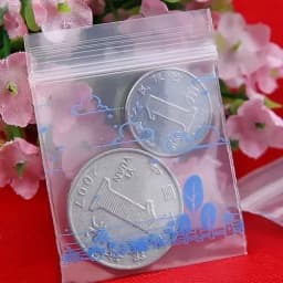 500PCS Mini Clear PE Zip Lock Bags Small Items Storage Bag Plastic Packaging Earring Ring Pills Pendant Plastic Bags Trial Pouch