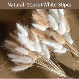 60pcs Dried Flowers Rabbit Bunny Tails Grass Mix Bouquets Wedding Party Decoration Natural Fluffy Lagurus Ovatus Boho Home Decor