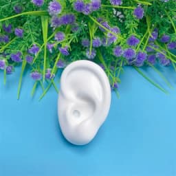 Earring Display Stand Ear Model Ear Clip Stud Jewelry Display Organizer Holder Window Counter Ear Stud Showcase Props