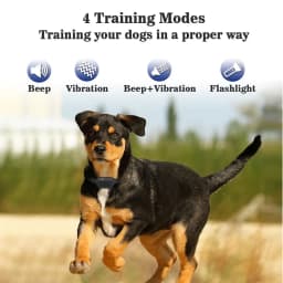 No Shock Vibration Dog Training Collar 1000M Remote Anti Bark Collar Rechargeable Waterproof Vibration Collar for All Dogs