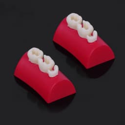 Dental Inlay Exercise Model Block Composite Resin Filling Practice Models Dentistry Oral Teeth Teaching Typodont Study