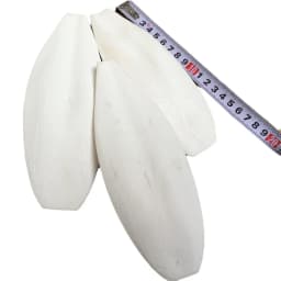 Natural Cuttlebone Chew Toy 1pc for Parrots Budgies Hamsters Small Pets Teeth Grinding Calcium Supplement Bird Supplies Healthy