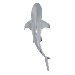 Toymany Simulation Blacktip Reef Shark Ocean Animal Model Toy Mini Figures Dolls Action Figurines Toys for Children Gift