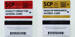 High Quantity Text Clear Letters Printed PVC SCP Hard Card Patches,top Hardboard,hardcard 8.5*5.5CM WF23461