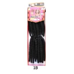 Havanna Curl Braids 8 Inch Synthetic Short Spring Twist Crochet Hair Pre Twisted Braids Hair Extensions for Women 235g/packs