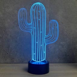 Nighdn 3D Cactus Flower Night Light Lamp Illusion Led 7 Color Changing Touch UBS Acrylic Table Desk Decoration Lamps Gifts