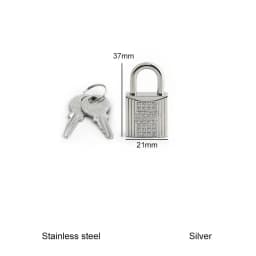 1/2/5Sets Silver Diamond Steel Lock Puller Slider For Birkin 30 Handbags Bags Hook Clasps Eyelet Plate Rivet Studs Accessories