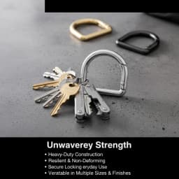 5-30pcs D-Shape Openable Spring Ring Bag Strap Buckle Keyring Dog Chain Snap Clasp and Carabiner for Handbag