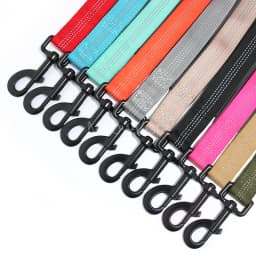 Custom Name No Pull Dog Harness Elastic Buffer Leash Set Adjustable Reflective Nylon Walking Lead for Small Medium Large Dogs