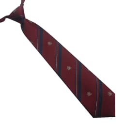 Polyester JK Necktie Simple Plaid Neckwear Striped Neck Tie Clothes Accessories Cravat Uniform Bow Tie Women Men