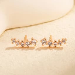 925 Sterling Silver Hollow Butterfly Stud Earrings For Women Luxury Designer Jewelry Wholesale Accessories Prevent Allergies