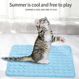 Pet Ice Silk Cool Sleeping Mat Multiple Sizes Breathable Heat Dissipation Non Slip Summer Rest Pad For Puppy Kitten