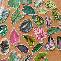 50pcs Cute Plant Leaf Handbook Sticker Material Small Fresh Handbook Stickers Children's Photo Album Growth Record Decoration