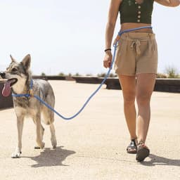 210CM/300CM Dog Leash Multi-functional Adjustable P-shape Chain Traction Rope Leads for Running Walking Free Hands Free Leashes