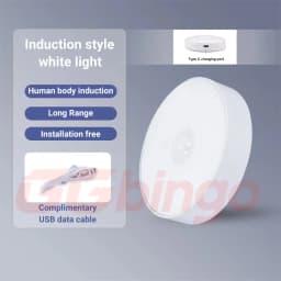 Type-C 1pc Motion Sensor Night Light - Wireless LED Detector Lamp for Bedroom, Staircase, Closet, and Room Decor-