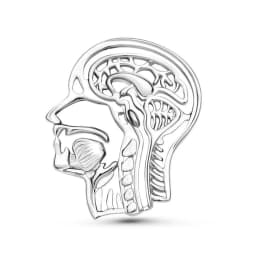 Hanreshe Anatomy Head Bones Pins Silver Plated Metal Lapel Backpack Brooch Badges Medical Jewelry for Doctors Nurses