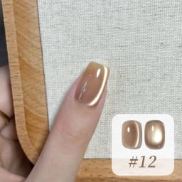 10ML 1-10PCS Winter New Style Hot Selling Black Nails Brown Nails Glass Bead Magnet Cat Eye Nail Polish Nail Set Nail Supplies