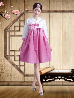 Embroidered Short Korean Traditional Costume Women's Dance Performance Clothes  Ethnic Group Large Long Jin Outfits