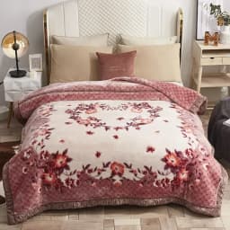 New Warm Weighted Blankets for Beds High End Thicken Warmth Raschel Blanket for Winter Autumn Double Side Plush Comforter Quilt
