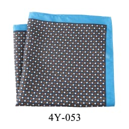 Tailor Smith Men's Classic Red Khaki Print Dot Handkerchiefs Paisley Floral Pockets Square Wedding Hankies Business Gift for Him