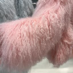 YOLOAgain High Collar Real Mongolia Sheep Fur Jacket For Women 2025 Winter Coats Outerwear