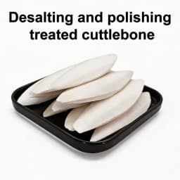 Natural Cuttlebone Chew Toy 1pc for Parrots Budgies Hamsters Small Pets Teeth Grinding Calcium Supplement Bird Supplies Healthy