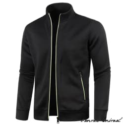 Spring Men's Turn-down Collar Sweatshirt Zipper Stand Collar Pullovers Man Sweatshirts Man Zippers Sweater Coats