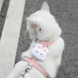 Cat Harness and Leash Sets Adjustable Dog Harness for Small Dog Leash Breashable Pet Harness Out Walking Dog Strap Cat Accessory