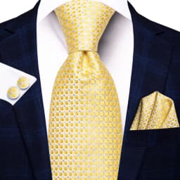 Hi-Tie Champagne Gold Striped Paisley Solid Men Silk Wedding Tie Fashion Design Necktie For Men Hanky Cufflink Business Party