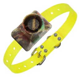 Rechargeable Hunting Dog Beeper Collars Waterproof Dog Training Collar Built-in Beeper Sound Pet Electric Collar Beep Clicker